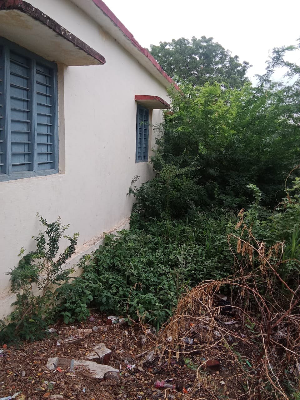 ತುರ್ವಿಹಾಳ | ಸ್ವಚ್ಛತೆಯ ಕೊರತೆ: ಆತಂಕದಲ್ಲಿ ವಿದ್ಯಾರ್ಥಿಗಳು