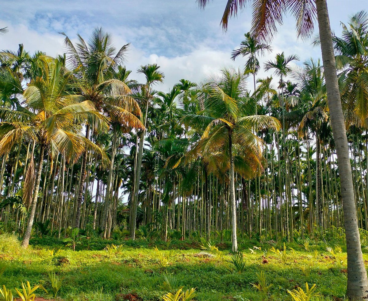 ಕೊಡಿಗೆಹಳ್ಳಿಯಲ್ಲಿ ಕೃಷಿ ಭೂಮಿ ಸ್ವಾಧೀನ ಬೇಡ: ಗ್ರಾಮಸ್ಥರ ಮನವಿ