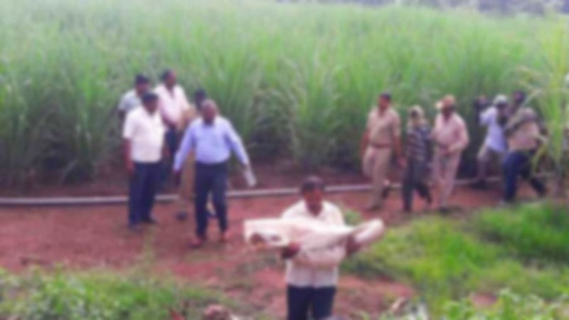 ಮಹಾರಾಷ್ಟ್ರ: ಕೊಲ್ಹಾಪುರ ಕಬ್ಬಿನ ಗದ್ದೆಯಲ್ಲಿ ಬಾಲಕಿಯ ಶವ ಪತ್ತೆ–ಅತ್ಯಾಚಾರ, ಕೊಲೆ