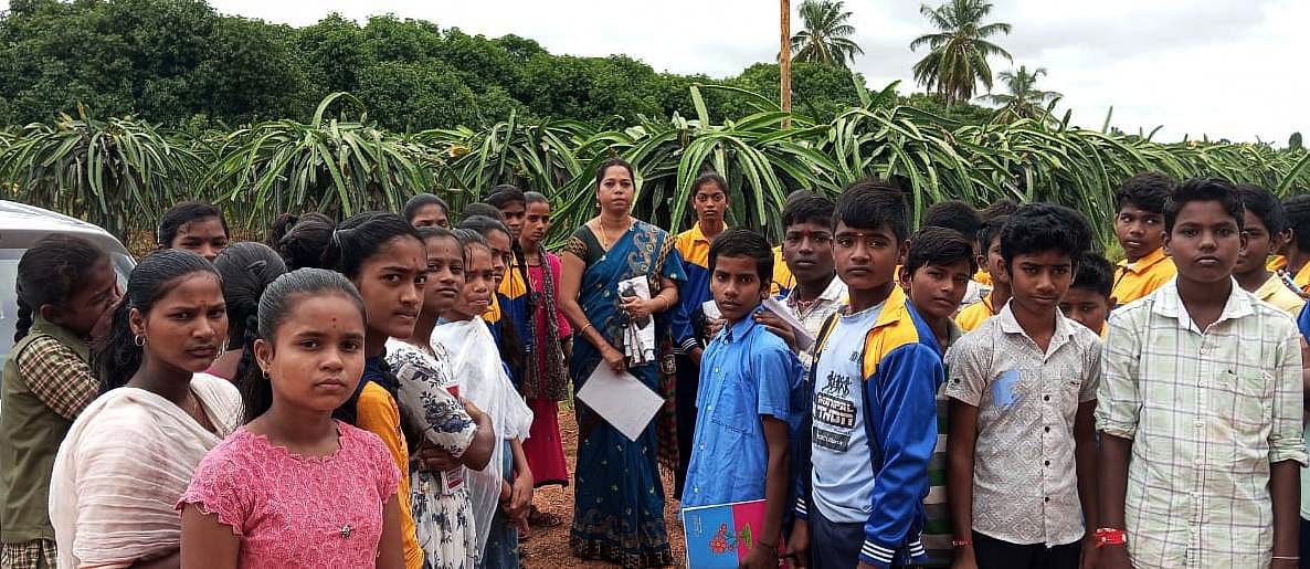 ಹಗರಿಬೊಮ್ಮನಹಳ್ಳಿ: ಡ್ರ್ಯಾಗನ್ ಫ್ರೂಟ್ ತೋಟಕ್ಕೆ ವಿದ್ಯಾರ್ಥಿಗಳ ಭೇಟಿ