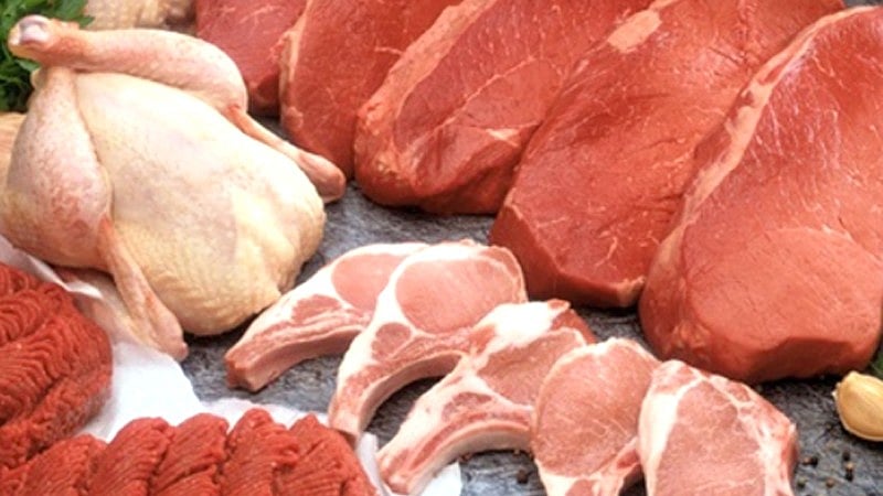 ಬೆಂಗಳೂರು | ಕೃಷ್ಣ ಜನ್ಮಾಷ್ಠಮಿ: ಆ.26ರಂದು ಮಾಂಸ ಮಾರಾಟ ನಿಷೇಧ 