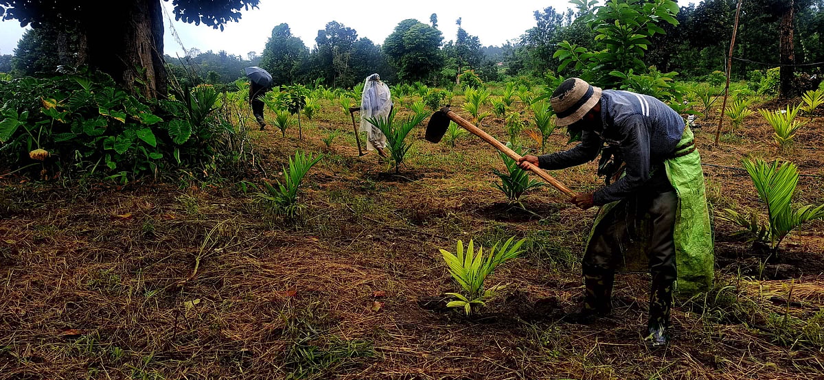 ಮಡಿಕೇರಿ: ವಲಸೆ ಕಾರ್ಮಿಕರ ವಿರುದ್ಧ ಹೆಚ್ಚಿದ ಆತಂಕ, ಅಸಹನೆ