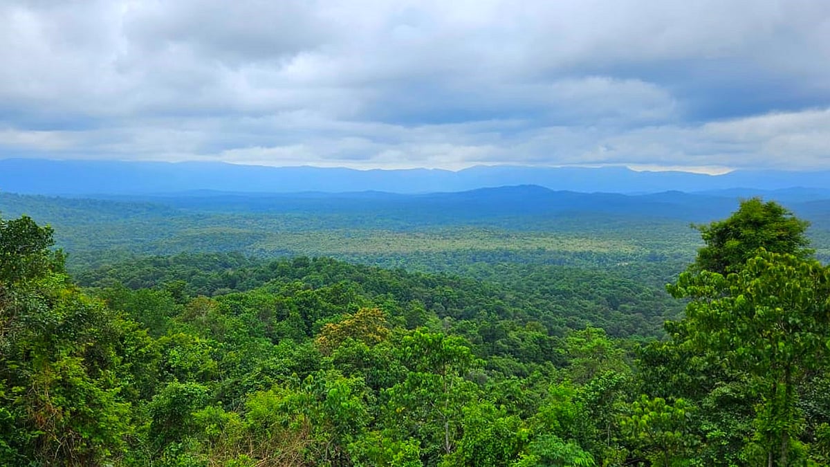 ಒಡಿಶಾ: 10 ವರ್ಷದಲ್ಲಿ 6,900 ಕಳ್ಳ ಬೇಟೆಗಾರರ ಬಂಧನ