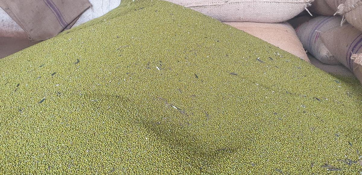 ವಿಜಯಪುರ: ಸೂರ್ಯಕಾಂತಿ, ಹೆಸರುಕಾಳಿಗೆ ಬೆಂಬಲ ಬೆಲೆಗೆ ನಿಗದಿ