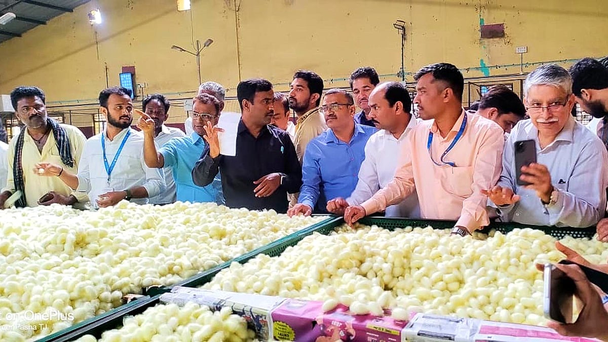 Jobs: ಬೆಂಗಳೂರಿನ ಸೆಂಟ್ರಲ್ ಸಿಲ್ಕ್ ಬೋರ್ಡ್‌ನಲ್ಲಿ 122 ಹುದ್ದೆಗಳು