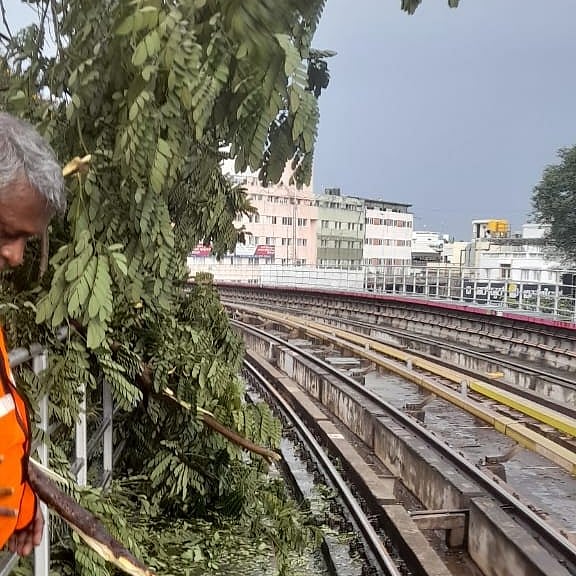ನೇರಳೆ ಮೆಟ್ರೊ ಮಾರ್ಗದಲ್ಲಿ ಮುರಿದು ಬಿದ್ದ ಮರದ ಕೊಂಬೆ: ರೈಲು ಸಂಚಾರ ವ್ಯತ್ಯಯ