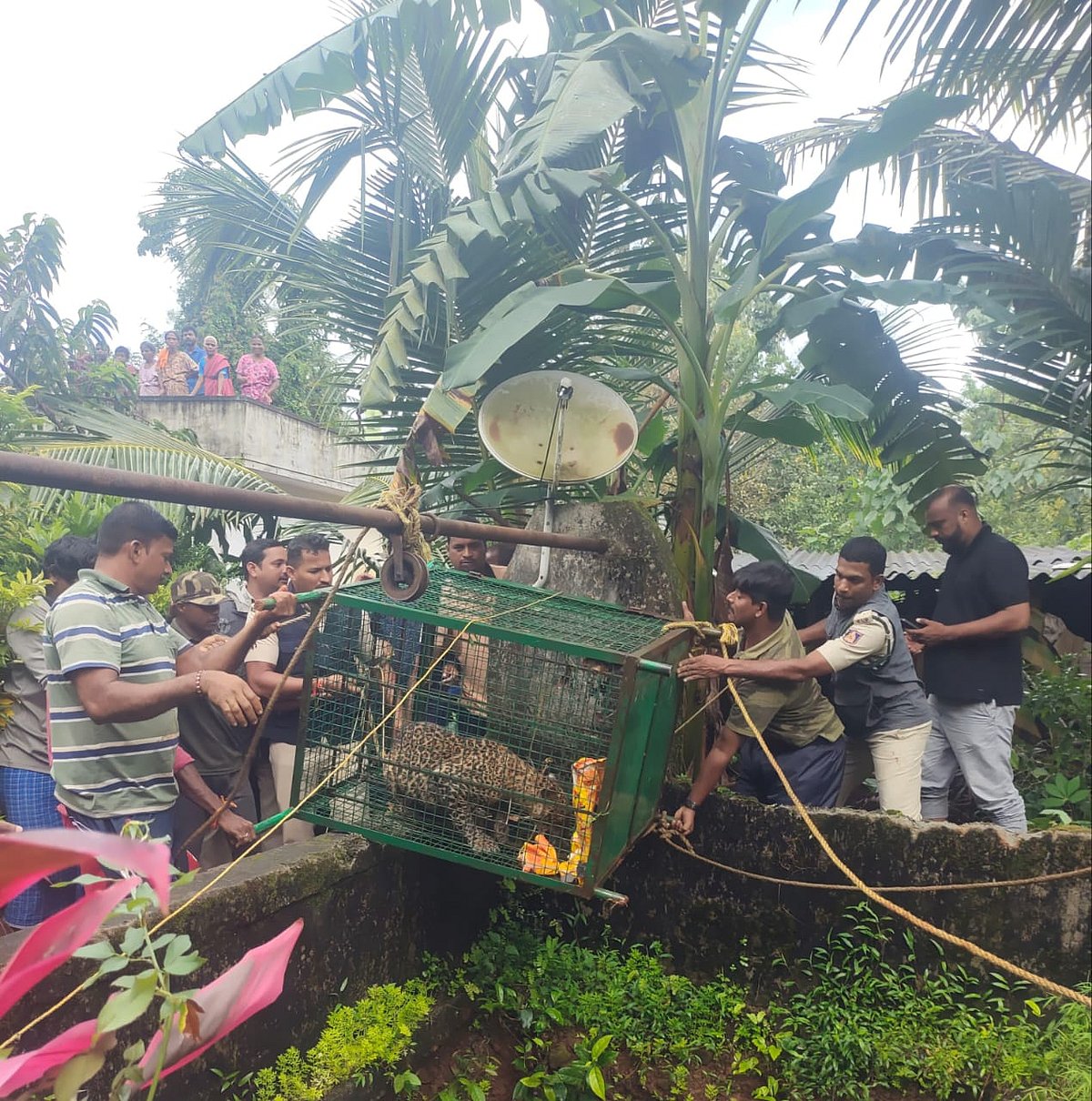 ಭೈರಂಪಳ್ಳಿ: ಬಾವಿಗೆ ಬಿದ್ದ ಚಿರತೆ ರಕ್ಷಣೆ