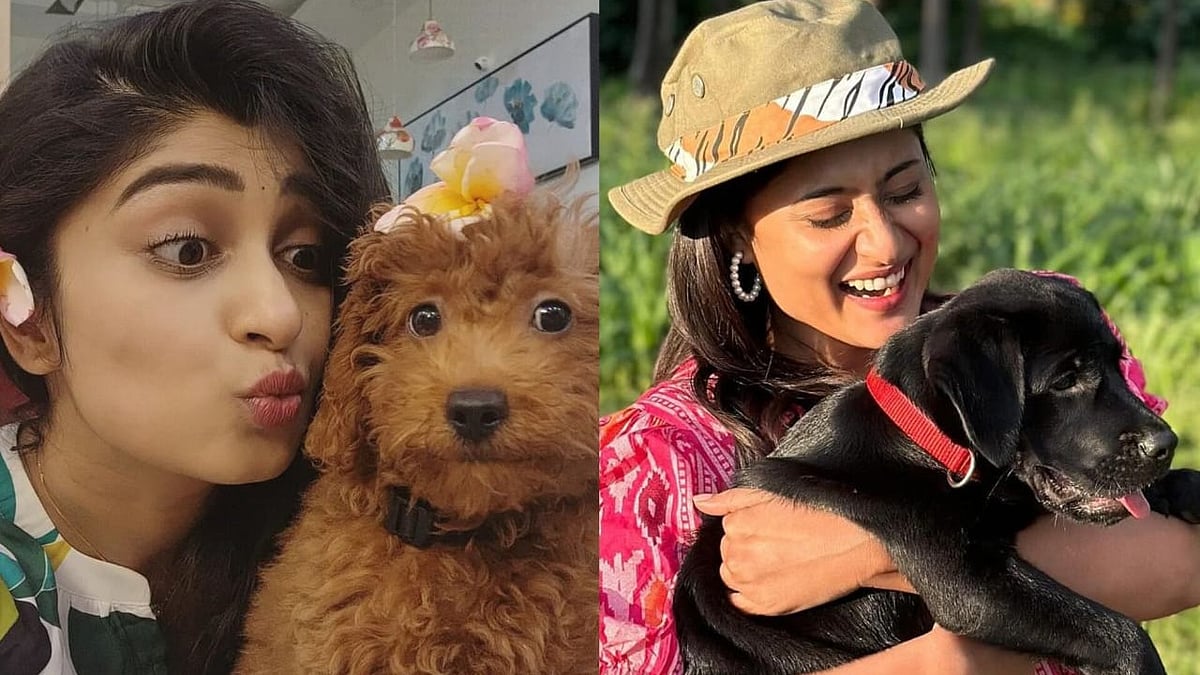 PHOTOS | ನೆಚ್ಚಿನ ಸಾಕುಪ್ರಾಣಿಗಳೊಂದಿಗೆ ನಟಿಯರ ಚೆಂದದ ಚಿತ್ರಗಳು