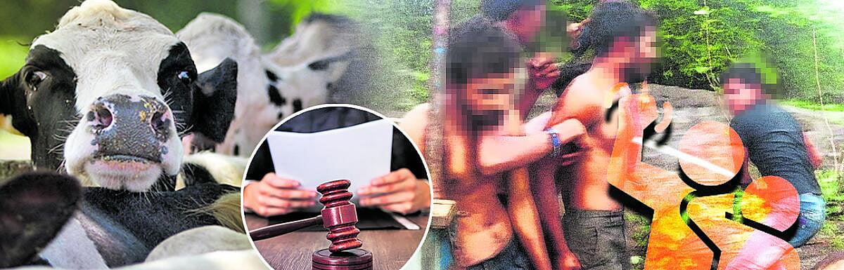 ವಿಶ್ಲೇಷಣೆ: ನರಹತ್ಯೆ ಮತ್ತು ಸಮಾಜದ ಮೌನ..