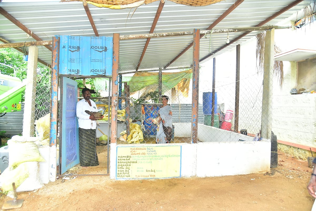 ಶಕ್ತಿನಗರ | ಕೋಳಿ ಸಾಕಾಣಿಕೆಗೆ ನರೇಗಾ ನೆರವು: ಉತ್ತಮ ಆದಾಯ ಪಡೆಯುತ್ತಿರುವ ವೀರೇಶ