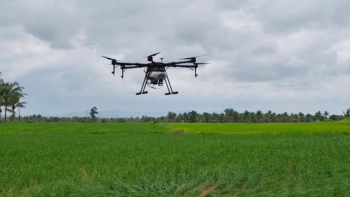 ನ್ಯಾನೊ ಯೂರಿಯಾ, DAP ಬಳಕೆಗೆ ಉತ್ತೇಜನ; 3 ಹೊಸ ಘಟಕ ಸ್ಥಾಪನೆ: ಸಚಿವೆ ಅನುಪ್ರಿಯಾ