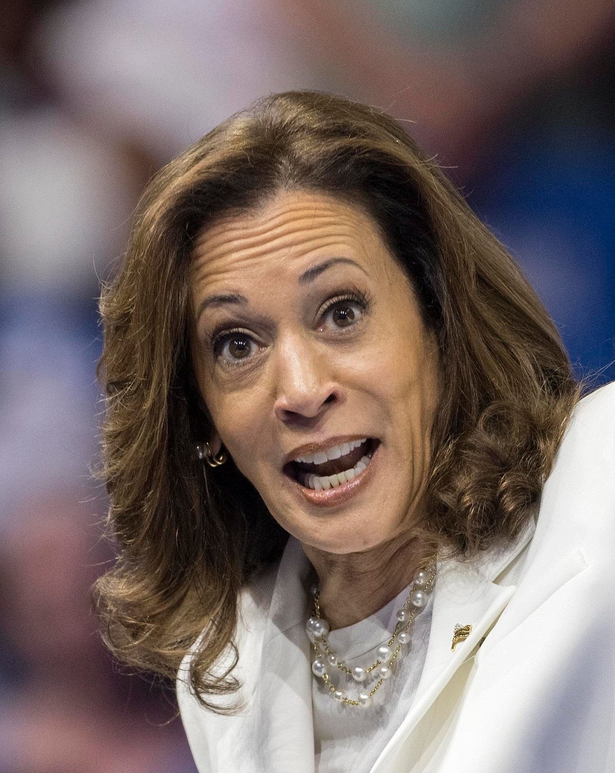 ನನ್ನ ಬಳಿಯೇ ಗನ್‌ ಇದೆ: ಗನ್‌ ಮುಟ್ಟುಗೋಲು ಆರೋಪಕ್ಕೆ ಕಮಲಾ ಹ್ಯಾರಿಸ್‌ ತಿರುಗೇಟು