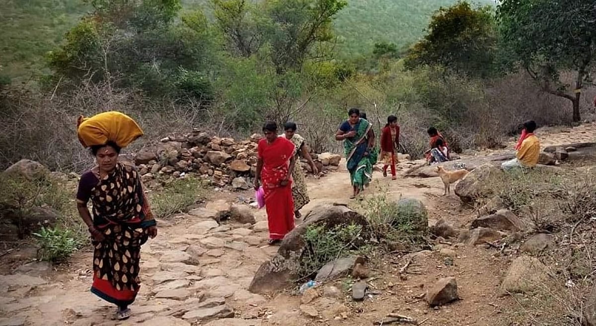 ಮಹದೇಶ್ವರ ಬೆಟ್ಟ: ನಾಗಮಲೆ ಪ್ರವೇಶಕ್ಕೆ ಆನ್‌ಲೈನ್ ಟಿಕೆಟ್‌
