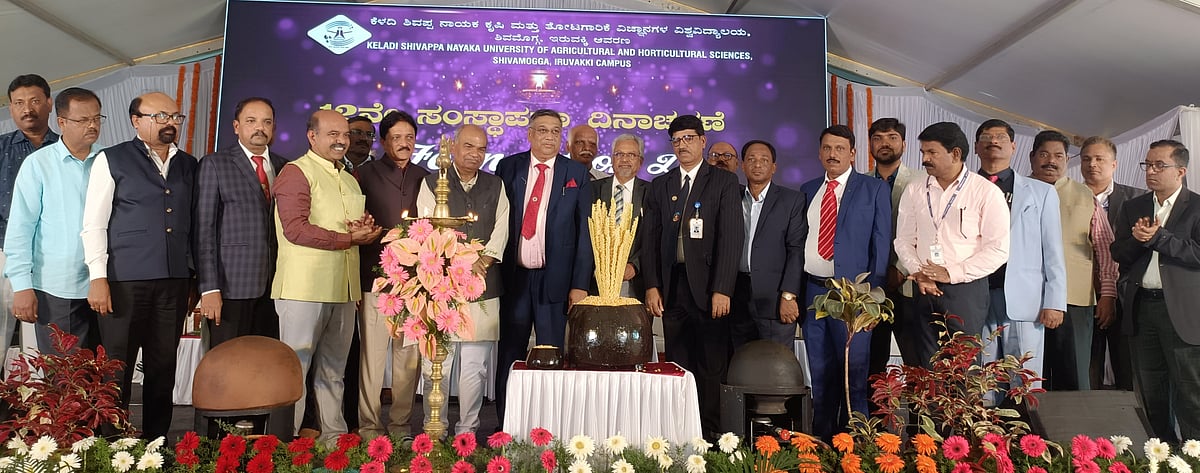 ಅಧಿಕ ಇಳುವರಿ, ಆದಾಯದ ಮೋಹಕ್ಕೆ ಭೂಮಿಯ ಸತ್ವ ನಾಶ