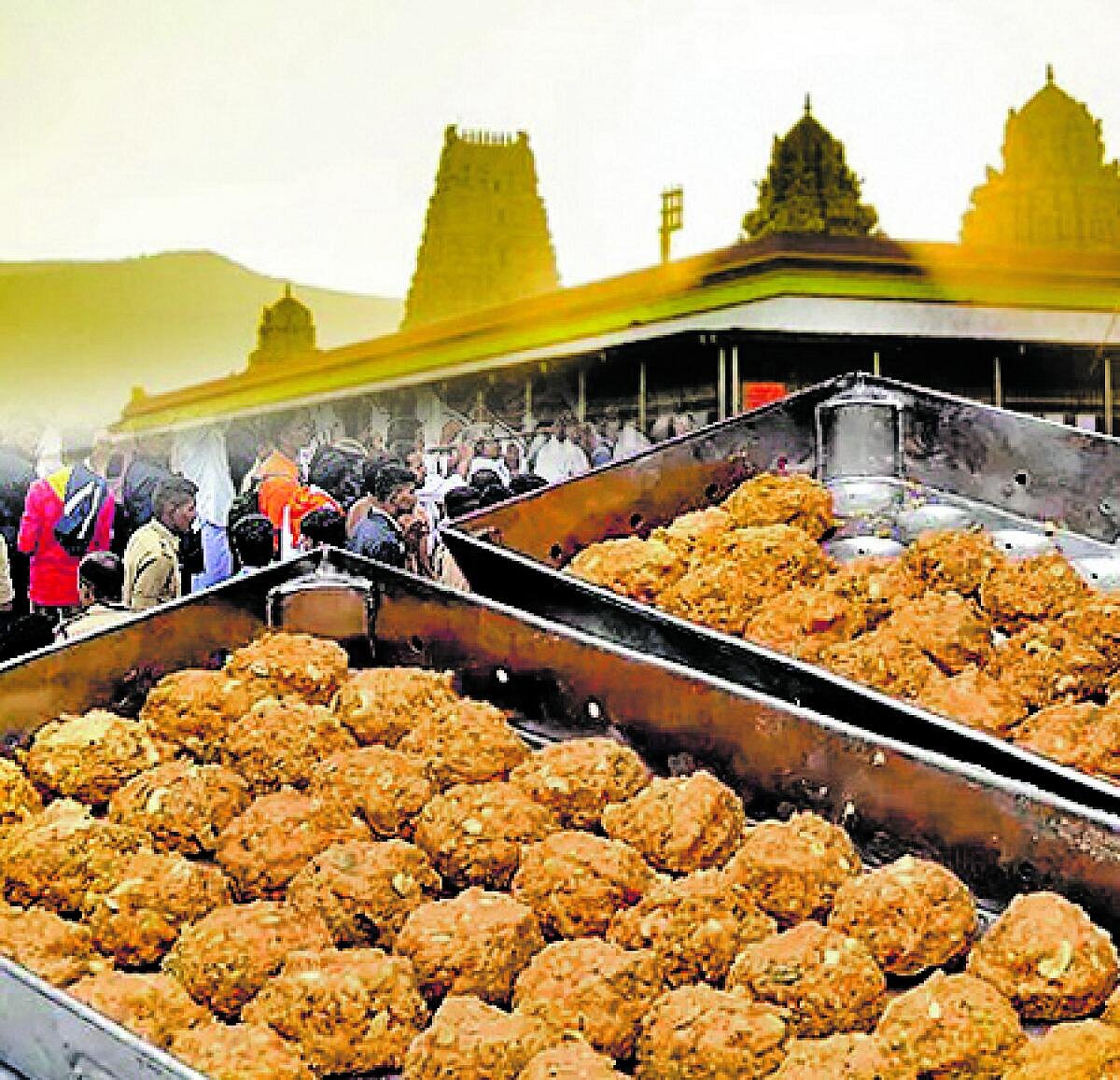 ಪಡಸಾಲೆ: ತಿರುಪತಿ ಲಡ್ಡು ಮತ್ತು ನಮ್ಮ ಜಡ್ಡು