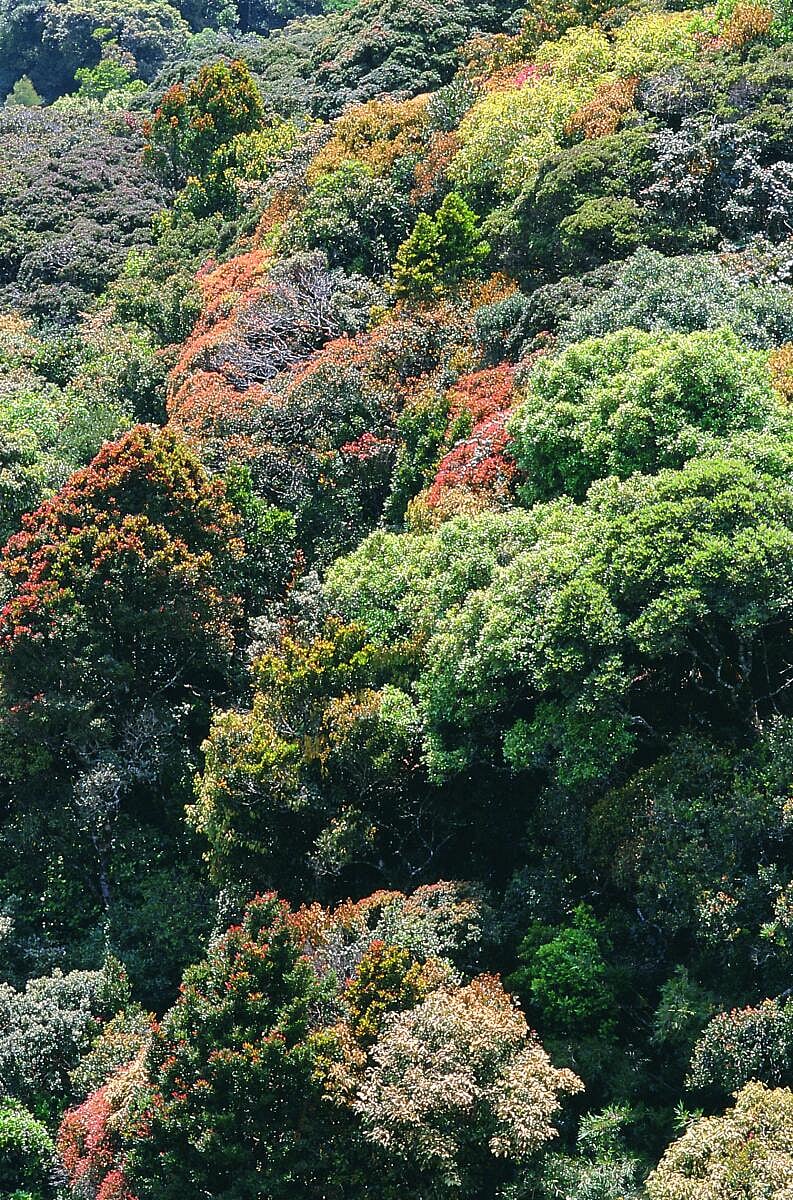 ಕೃಪಾಕರ–ಸೇನಾನಿಯವರ ಲೇಖನ: ಭರವಸೆ ಮೂಡಿಸದ ಹೆಜ್ಜೆಗಳು