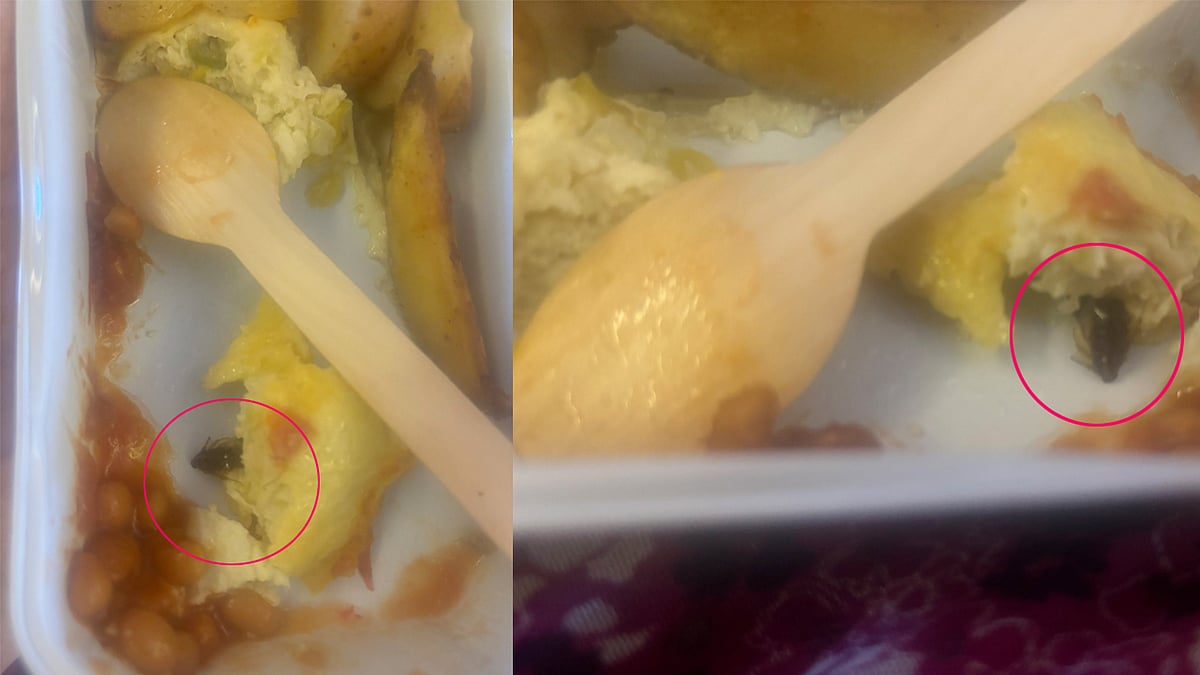 ಏರ್ ಇಂಡಿಯಾ ವಿಮಾನದಲ್ಲಿ ನೀಡಿದ ಆಮ್ಲೆಟ್‌ನಲ್ಲಿ ಜಿರಳೆ ಪತ್ತೆ!