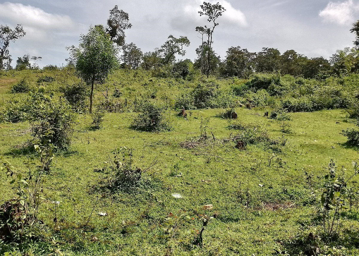 ಶಿರಸಿ: ಪರಿಸರ ಪಾಠಕ್ಕೆ ರೂಪುಗೊಳ್ಳಲಿದೆ ಅಧ್ಯಯನ ವನ