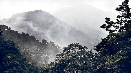 ಪಶ್ಚಿಮಘಟ್ಟ | ಕಸ್ತೂರಿ ರಂಗನ್‌ ವರದಿ ತಿರಸ್ಕಾರ: ಕೇಂದ್ರಕ್ಕೆ ರಾಜ್ಯ ಪತ್ರ 