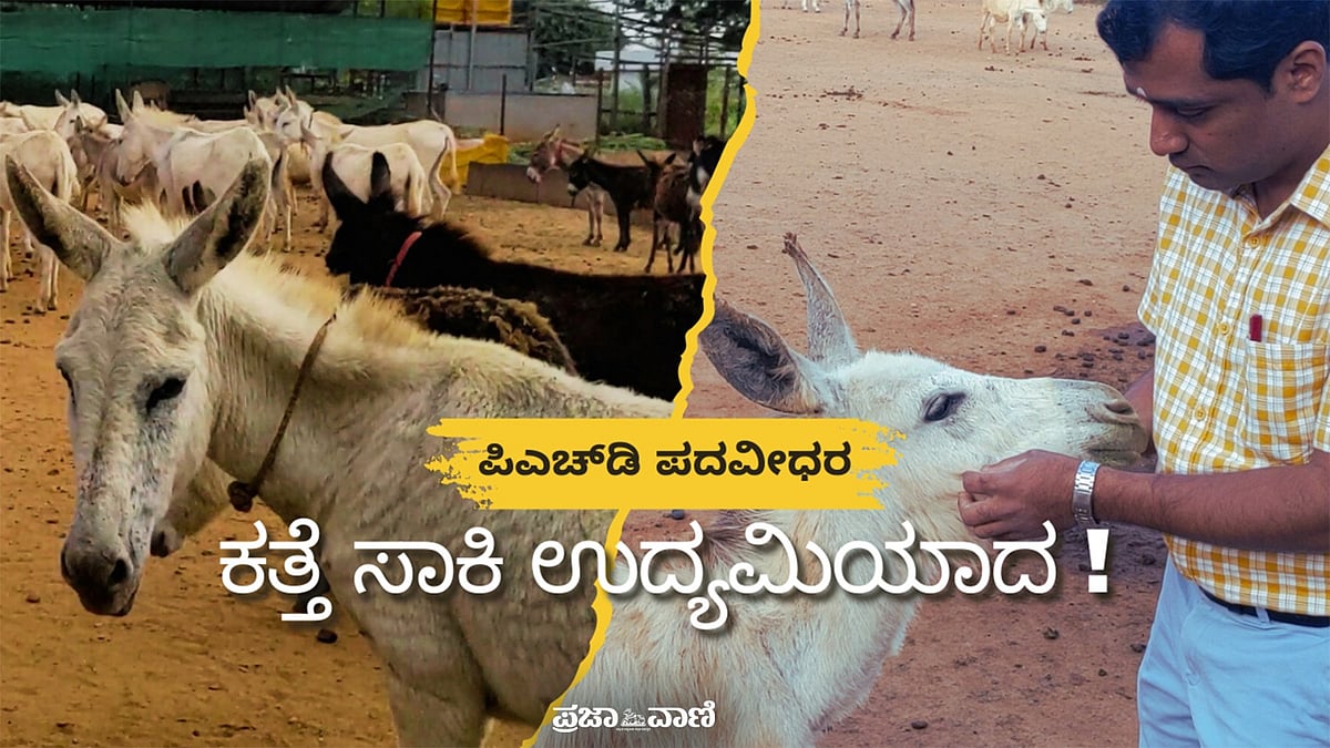 VIDEO | ಕತ್ತೆ ನಂಬಿದವರು ಮತ್ತೆ ತಿರುಗಿ ನೋಡಬೇಕಿಲ್ಲ: ಪದವೀಧರ ರಂಗೇಗೌಡರ ಮಾತು