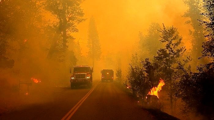 ಬಿಸಿಲ ಧಗೆ; ಕಾಡ್ಗಿಚ್ಚು ಸಾಧ್ಯತೆ: ಕೆಎಸ್‌ಎನ್‌ಡಿಎಂಸಿ ಮುನ್ನೆಚ್ಚರಿಕೆ