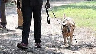  ಕರ್ನಾಟಕದಲ್ಲಿ ವಿಮಾನಗಳಿಗೆ 5 ವರ್ಷಗಳಲ್ಲಿ 94 ಹುಸಿ ಬಾಂಬ್‌ ಕರೆ