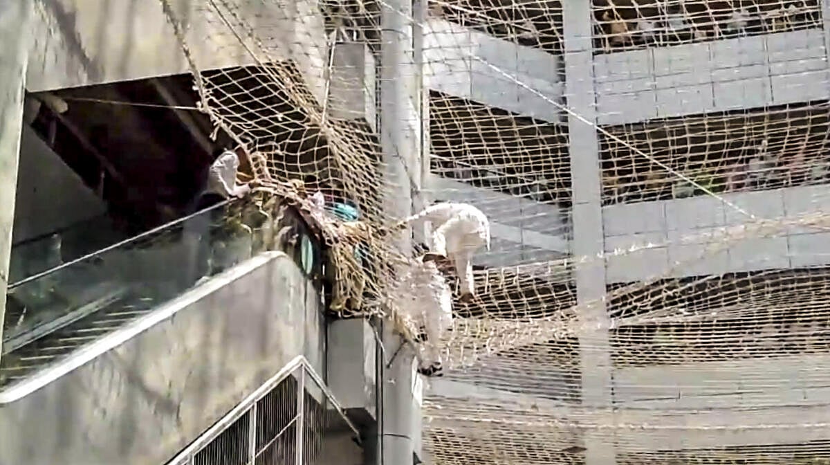 Video | ಮೀಸಲಾತಿಗಾಗಿ ಕಟ್ಟಡದಿಂದ ಜಿಗಿದ ಮಹಾರಾಷ್ಟ್ರ ಉಪಸಭಾಪತಿಗೆ ಆಸರೆಯಾದ ಬಲೆ