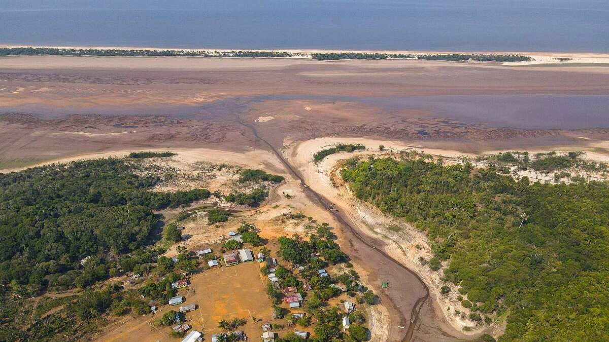 ಒಣಗುತ್ತಿರುವ ಅಮೆಜಾನ್ ಮಳೆಕಾಡಿನ ನದಿಗಳು! 122 ವರ್ಷಗಳಲ್ಲೇ ಭೀಕರ