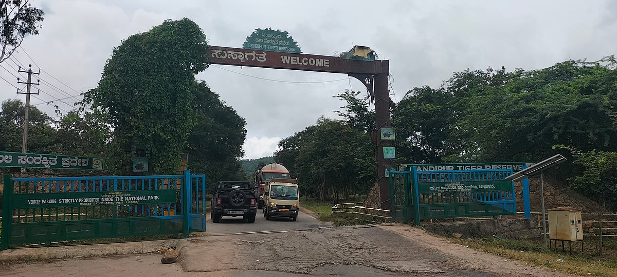 ಒತ್ತಡಕ್ಕೆ ಮಣಿದು ಬಂಡಿಪುರ ರಾತ್ರಿ ಸಂಚಾರ ನಿಷೇಧ ತೆರವಿಗೆ ಮುಂದಾದ ಸರ್ಕಾರ: BJP