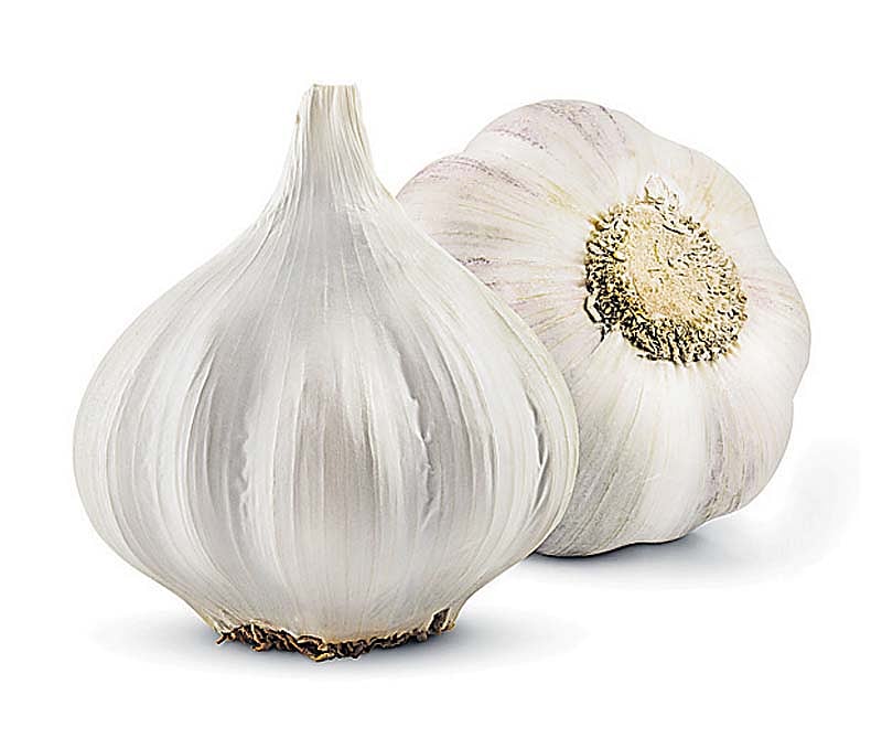 ಇರಾನ್‌ನಿಂದ ಪೂರೈಕೆ ಸ್ಥಗಿತ: ₹500 ದಾಟಿದ ‘ಎ’ ಗ್ರೇಡ್‌ ಬೆಳ್ಳುಳ್ಳಿ ಧಾರಣೆ