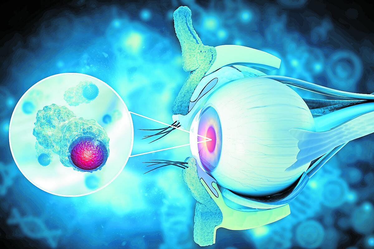 Eye Health: ದೂರದ್ದು ಮಸುಕಾಗಿ ಕಾಣುವುದೆ?