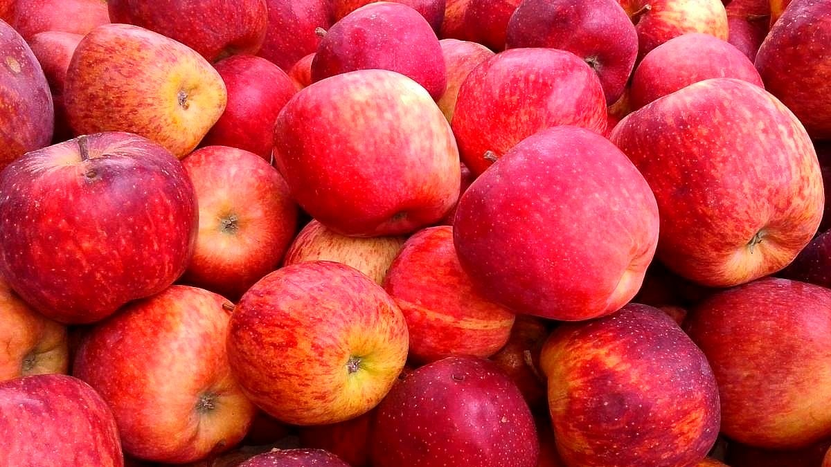 ಮುಸ್ಲಿಂ ವ್ಯಾಪಾರಿಗಳು ಹಿಮಾಚಲ ಪ್ರದೇಶದ ಸೇಬನ್ನು ಬಹಿಷ್ಕರಿಸಲಿ: AIMIM ಮುಖಂಡ