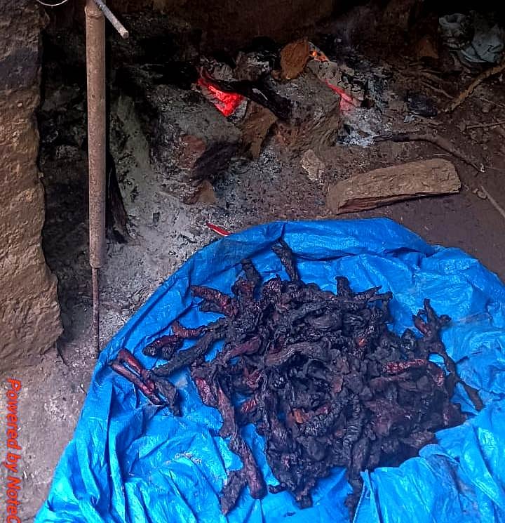 ಕಾಡುಕೋಣ ಬೇಟೆ ಪ್ರಕರಣ: ಆರೋಪಿಗಳ ಮನೆಗೆ ದಾಳಿ, ಒಣಗಿಸುತ್ತಿದ್ದ ಮಾಂಸ ಪತ್ತೆ