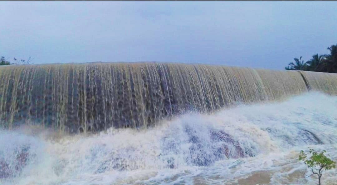 ನಾಗಮಂಗಲ ತಾಲ್ಲೂಕಿನಾದ್ಯಂತ ಉತ್ತಮ ಮಳೆ: ರೈತರ ಹರ್ಷ