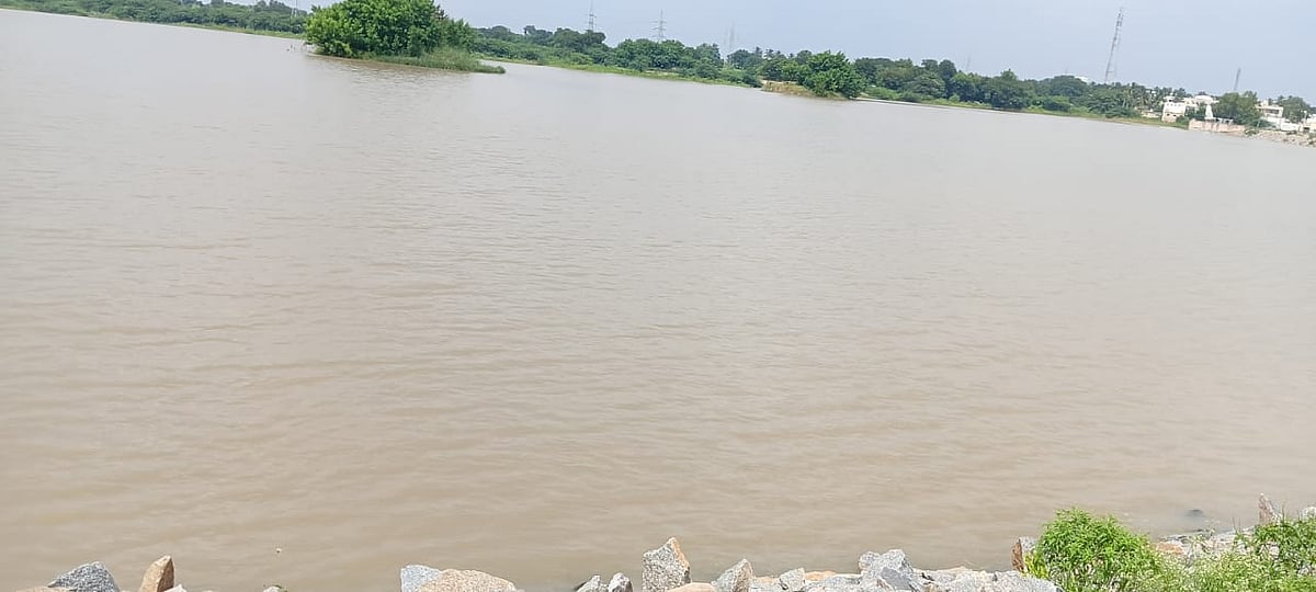 ತಾವರಗೇರಾ | ಹಿಂಗಾರು ಮಳೆ: ರಾಯನಕೆರೆಗೆ ಜೀವಕಳೆ