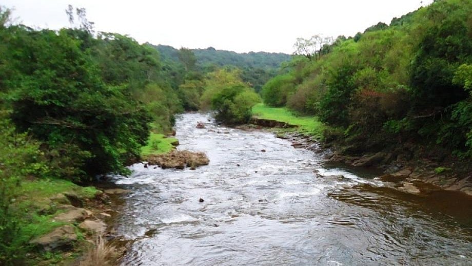 ಮಹದಾಯಿ: ವನ್ಯಜೀವಿ ಅನುಮೋದನೆಗೆ ಮತ್ತೆ ನೆಪ