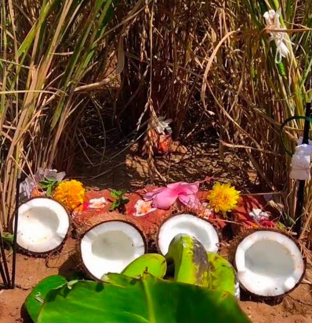 ಸೀಗೆ ಹುಣ್ಣಿಮೆ | ಭೂಮಿತಾಯಿಗೆ ಪೂಜೆ: ಚರಗ ಚೆಲ್ಲಿ, ಉತ್ತಮ ಬೆಳೆಗೆ ಪ್ರಾರ್ಥನೆ