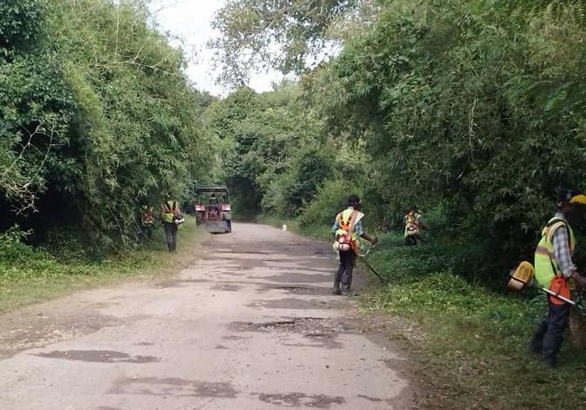 ಸುಂಟಿಕೊಪ್ಪ | ಆಯುಧಪೂಜಾ ಅಲಂಕಾರ: ಸೆಸ್ಕ್ ಪ್ರಥಮ