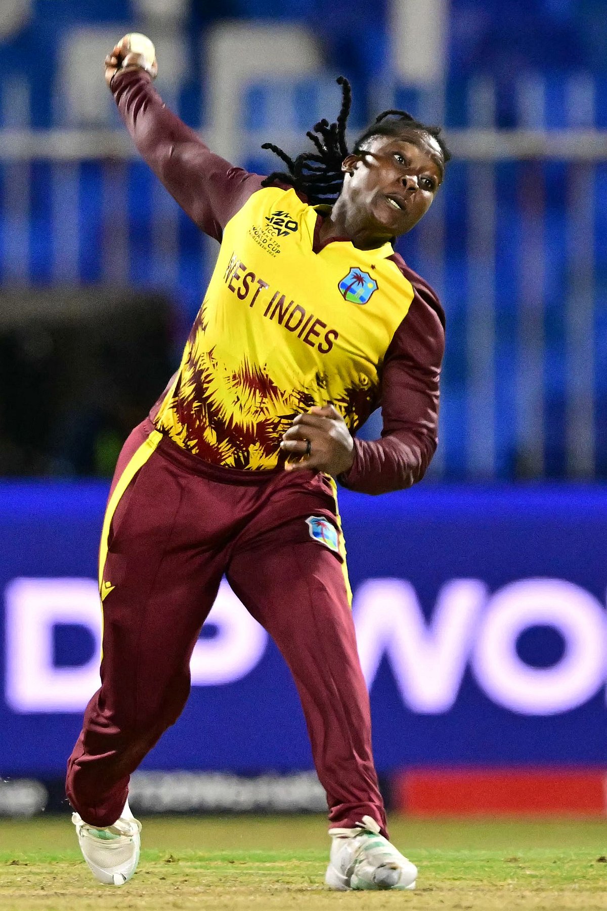 ಮಹಿಳಾ ಟಿ20 ವಿಶ್ವಕಪ್: ಫೈನಲ್‌ನಲ್ಲಿ ನ್ಯೂಜಿಲೆಂಡ್‌ –ದಕ್ಷಿಣ ಆಫ್ರಿಕಾ ಮುಖಾಮುಖಿ