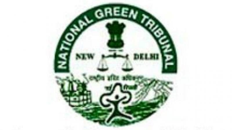 ಬೆಂಗಳೂರಿನ ಕೆರೆಗಳ ನೀರಿನ ಗುಣಮಟ್ಟ ಅತಿ ಕಳಪೆ: ರಾಜ್ಯ ಸರ್ಕಾರಕ್ಕೆ NGT ಚಾಟಿ