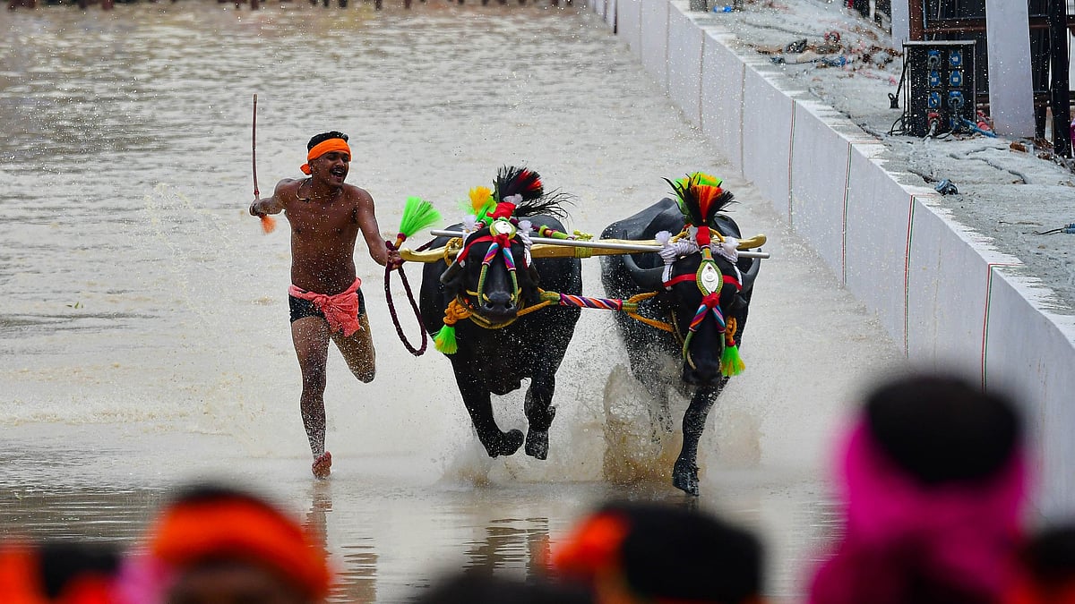 ಬೆಂಗಳೂರು ಕಂಬಳ ಪ್ರಶ್ನಿಸಿ ಹೈಕೋರ್ಟ್‌ಗೆ ಪಿಐಎಲ್‌