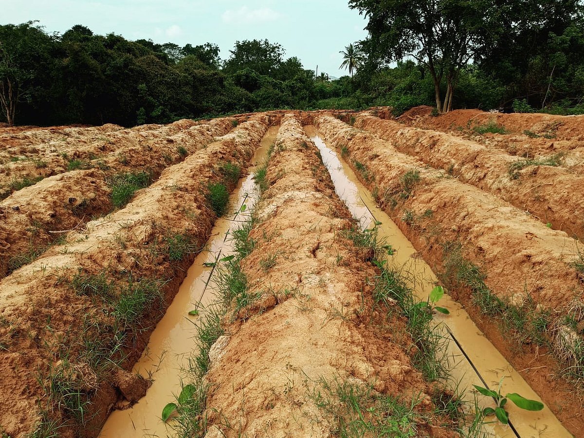 ಬಳ್ಳಾರಿ: ಸಮಾವೇಶದಲ್ಲಿ ರೈತಪರ 13 ನಿರ್ಣಯ