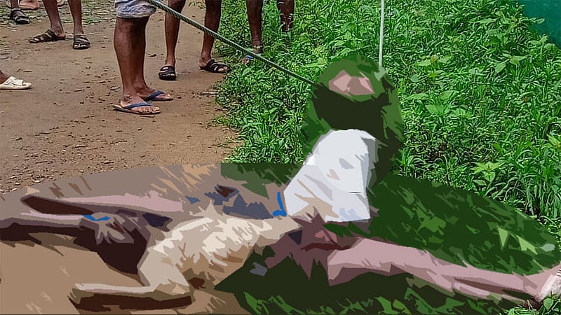 ಚಾಮರಾಜನಗರ | ವಿದ್ಯುತ್ ಸ್ಪರ್ಶ; ಇಬ್ಬರು ಸಾವು