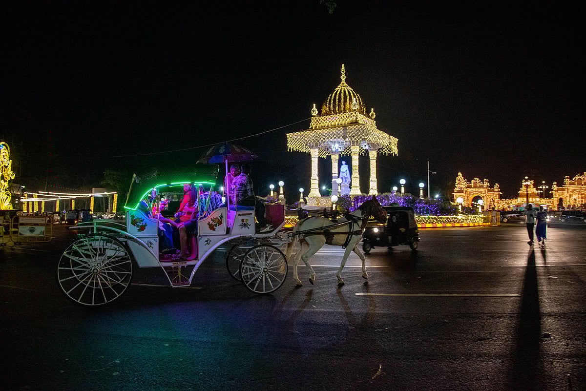 ಟಾಂಗ ಏರಿ ಮೈಸೂರು ನೋಡಿ...