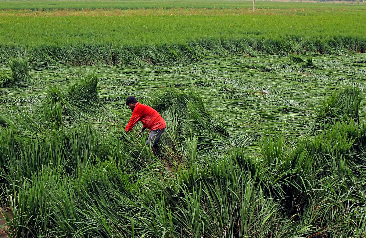 Dana Cyclone | ತಗ್ಗಿದ ‘ಡಾನಾ’ ಪ್ರಭಾವ: ಚುರುಕು ಪಡೆದ ಪರಿಹಾರ ಕಾರ್ಯ