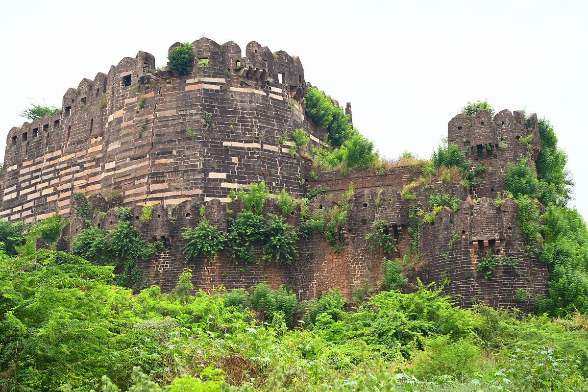 ಪೊದೆಯಲ್ಲಿ ಮರೆಯಾಗುತ್ತಿದೆ ಬೀದರ್ ಕೋಟೆ: ನಿರ್ವಹಣೆಗೆ ಇಚ್ಛಾಶಕ್ತಿ ಕೊರತೆ