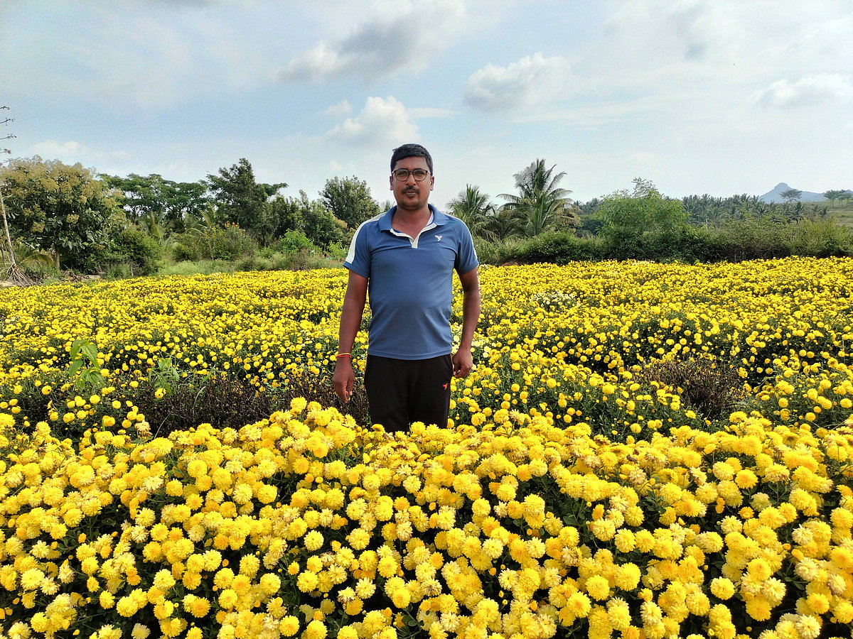 ಪುಷ್ಪ ಬೇಸಾಯ; ಕೈತುಂಬ ಆದಾಯ: ವಾರ್ಷಿಕ ₹6 ಲಕ್ಷ ಗಳಿಕೆ 