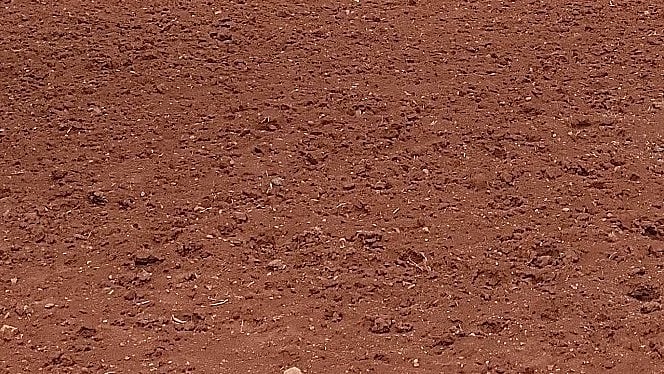 ಚಿಕ್ಕಮಗಳೂರು | 25 ಎಕರೆ ಗುತ್ತಿಗೆ: 4,113 ಬೆಳೆಗಾರರಿಂದ ಅರ್ಜಿ