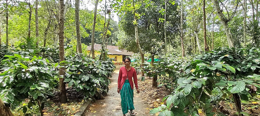 ಸೋಲಾರ್ ಬೇಲಿಯೊಳಗೆ ಉಳಿದಿದ್ದ 16 ಕುಟುಂಬಗಳ ಸ್ಥಳಾಂತರಕ್ಕೆ ಸಂಪುಟ ಅಸ್ತು