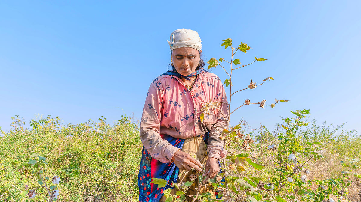 ಹವಾಮಾನ ಬದಲಾವಣೆಗೆ ತತ್ತರಿಸುತ್ತಿರುವ ಭಾರತದ ಕೃಷಿ ಕಾರ್ಮಿಕರು: ಆತಂಕ ತಂದ ವರದಿ